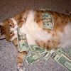 Wall Street Fat Cat Bonuses Up 17% In 2009
